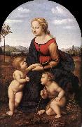 RAFFAELLO Sanzio The Virgin and Child with Saint John the Baptist (La Belle Jardinire)  af USA oil painting reproduction